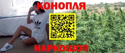 мдпв Кандалакша